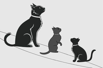 black cat on white background
