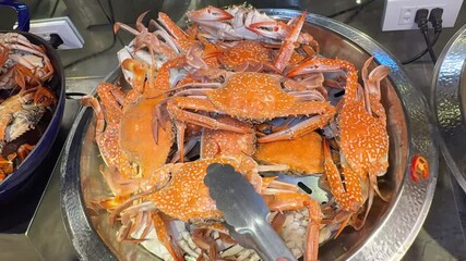 Nautical themed buffet table with seafood platters, decorations, and maritime details. buffet large selection of dishes asia seafood