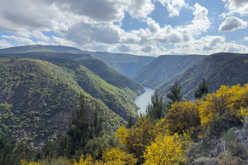 beautiful view of the Sil River Canyon, Galicia, Spain, natural landscape