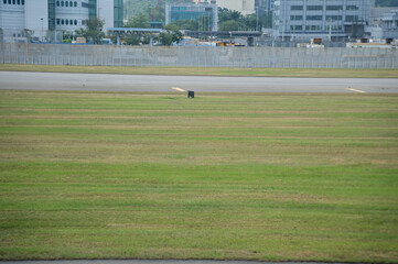 The view of the airport during landing. Airport scene, landing scene. Travel concept.