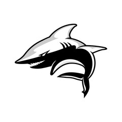 shark logo vector design illustration
