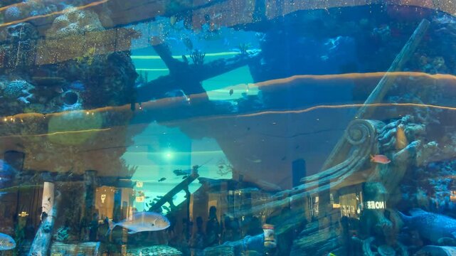 cylindrical "Starlight Underwater World" with a diameter of 15m and a height of 8.3m, which can accommodate 1,500 ton of seawater Chongqing Starlight 68 Mall