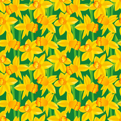 Yellow flowers daffodils on dark green background. Seamless floral pattern, print, vector illustration