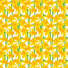 Yellow flowers daffodils on white background. Seamless floral pattern, print, vector illustration