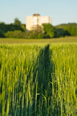 : A green field with tall grass leads to a distant industrial building under a bright sky, framed by trees. The contrast between nature and industry highlights balance, growth, and sustainability