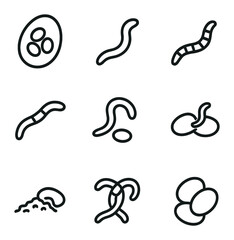 Fototapeta premium Worm Lifecycle Icons. Outline icon set of worm lifecycle stages: egg cocoon, juvenile worm, growing segments, mature clitellum,