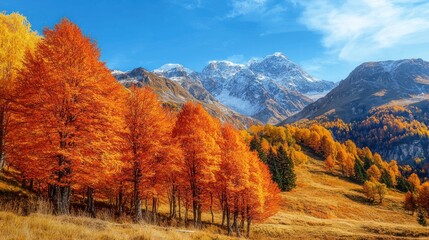 Fototapeta premium Autumnal trees on a hillside with snow-capped mountains.