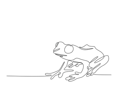 Exotic tree frog single outline illustration. Continuous line art drawing of treefrog. Editable stroke.