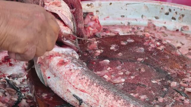 Fresh fish in the market