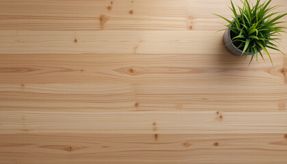 Minimal Wooden Desk with Potted Plant