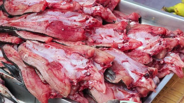 Fresh fish in the market