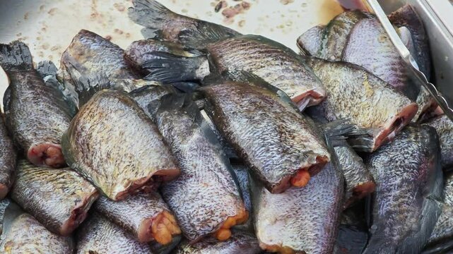 Fresh fish in the market