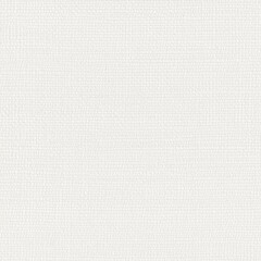 White Canvas Texture Close-up