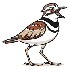 Cartoon killdeer bird stands and squawks with its mouth wide open, a brown and tan design