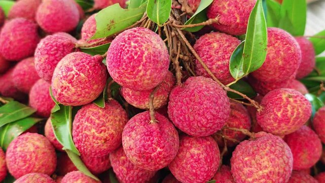 Fresh lychee fruit in the garden