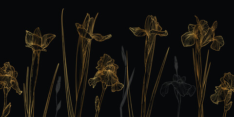 Abstract floral background with gold line art of iris flowers and leaves. Hand drawn irises flowers on black background. Vector design of card, banner, invitation and packaging