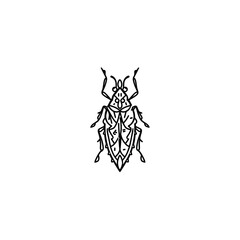 Insect drawing displays outline details on white backdrop isolated