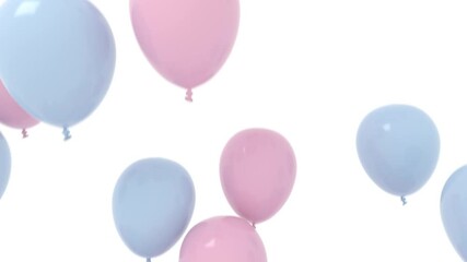 pink and blue balloons isolated on white rising up for a gender reveal of baby