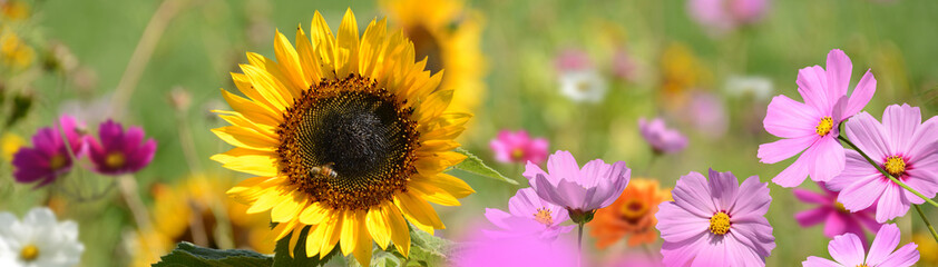 Garten 1497 © K.-U. Häßler