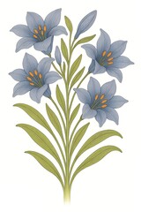 Blue Lily Flower Illustration Botanical Art