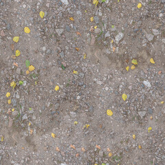 Natural Ground Texture with Autumn Leaves

