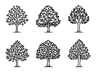 Ash Tree Simple Line Art Clear Vision