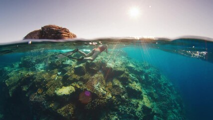 Splitted underwater shot of the shallow coral reef in the Komodo National Park, Indonesia - Powered by Adobe