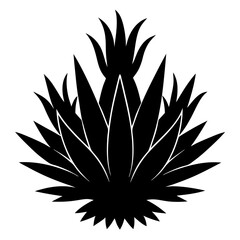 black silhouette of a desert flower on a white background.
