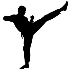martial arts silhouette on a white background.