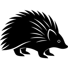 vector illustration of a cartoon porcupine on a white background.