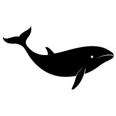 vector illustration of a Whale on a white background.