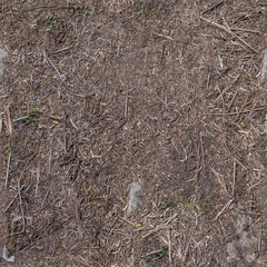Natural Ground Texture with Autumn Leaves

