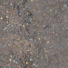 Natural Ground Texture with Autumn Leaves

