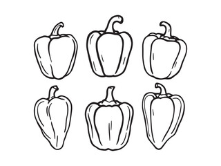 Bell Pepper Line Art Illustration