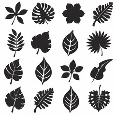 Silhouette Leaf Icons Collection for Nature and Botanical Projects Free Vector, Floral vector icons featuring a variety of flower types and designs showcasing nature in a minimalist style for design.