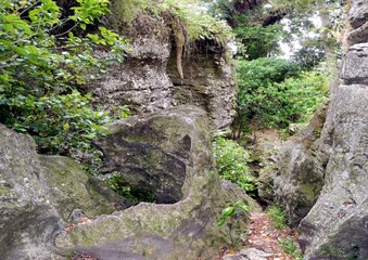 The Grove, Golden Bay, South Island - New Zealand