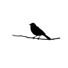 Fototapeta premium Silhouette Bird on Branch: A simple black and white vector illustration of a bird perched on a twig, showcasing its elegant silhouette against a white background.