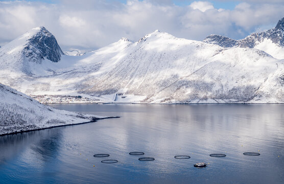 Fish Farm in Husoy, Norway with Snowy Mountain Landscape