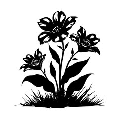 Vector black silhouettes of flowers isolated on a white background.