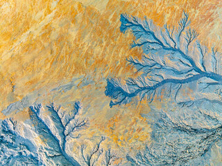 Mesmerizing abstract fractal pattern with natural colors