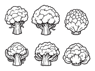 Cauliflower Vegetable Line Illustration