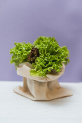 Fototapeta premium Fresh salad in a eco bag on a purple background with copy space. Local food concept.