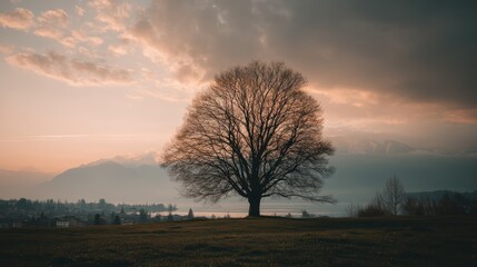 bare tree silhouette in front of dramatic sunset over alpine landscape, peaceful and emotional scene