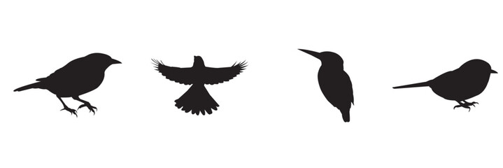 Birds in Flight Silhouette . Minimalist Bird Silhouette set . on white background .