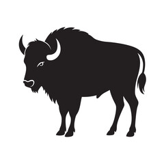 Bison Standing On Prairie