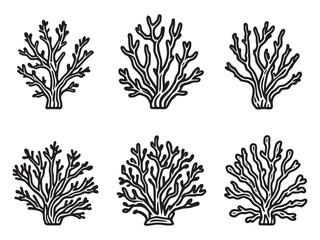 Elkhorn Coral Outline Sketch Illustration