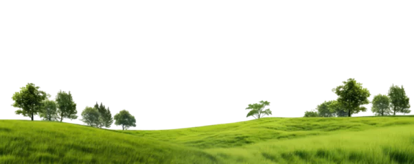 landscape with green grass hills and trees with sky isolated on white or transparent png