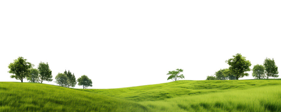 landscape with green grass hills and trees with sky isolated on white or transparent png