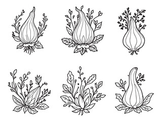 Galangal Root Line Art Illustration Design