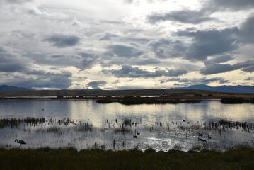 Crépuscule sur le Lago Argentino en Patagonie. Argentine